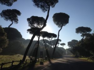 Centro Famiglia e Spazio Neutro