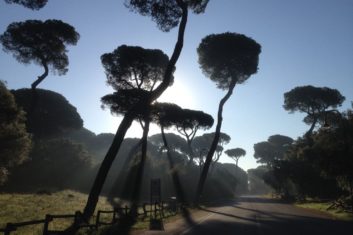 Centro Famiglia e Spazio Neutro